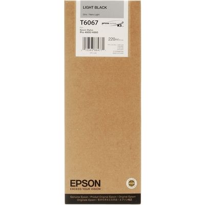 Epson C13T606740 - Noir clair - Cartouche d'encre