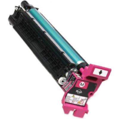 Epson C13S051176 - Conducteur photographique