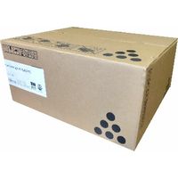 Ricoh 406685 - Noir - Toner