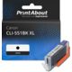 Cartouche compatible Canon CLI-551BK XL - Noir - Grande capacité