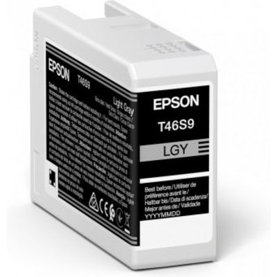 Epson T46S9 - Gris clair - Cartouche d'encre