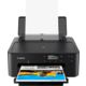 Canon PIXMA TS705a Imprimante à jet d'encre A4 avec Wifi Noir