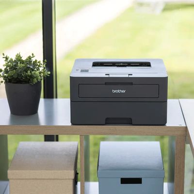 Brother HL-L2445DW - Imprimante laser