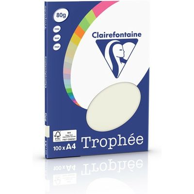 Clairefontaine Gris perle A4 Papier couleur 80 g/m² (100 feuilles)