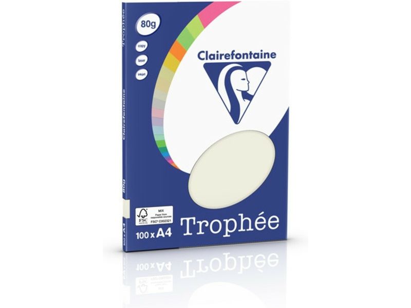 Clairefontaine Gris perle A4 Papier couleur 80 g/m² (100 feuilles)