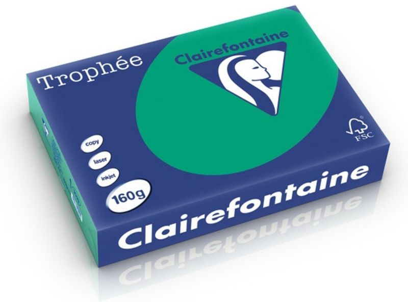 Clairefontaine Vert Pin Papier couleur A4 160 g/m² (250 feuilles)