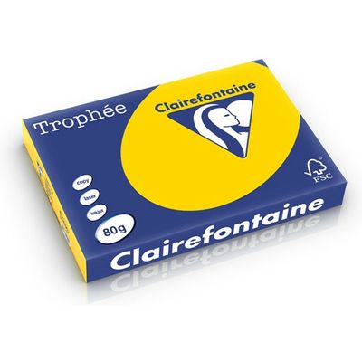 Clairefontaine Bouton d'or A4 Papier couleur 80 g/m² (500 feuilles)