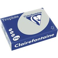 Clairefontaine Gris clair A4 Papier couleur 210 g/m² (250 feuilles)