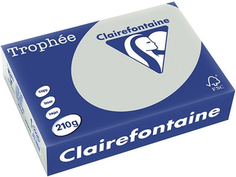 Clairefontaine Gris clair A4 Papier couleur 210 g/m² (250 feuilles)