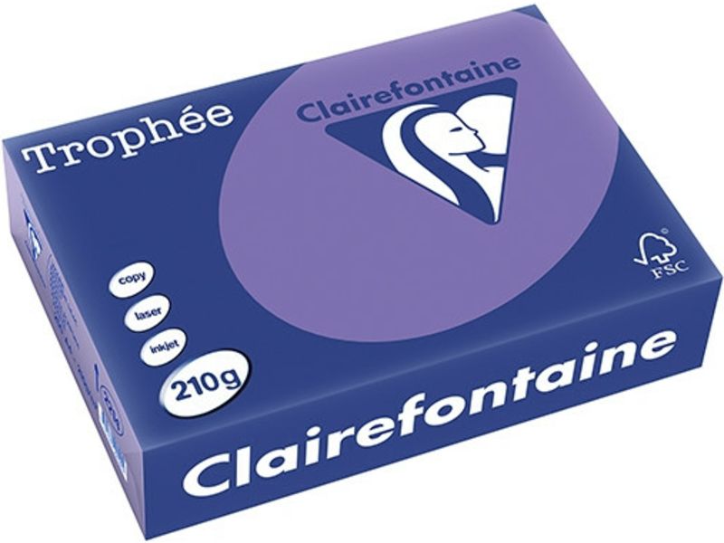 Clairefontaine Violet A4 Papier couleur 210 g/m² (250 feuilles)