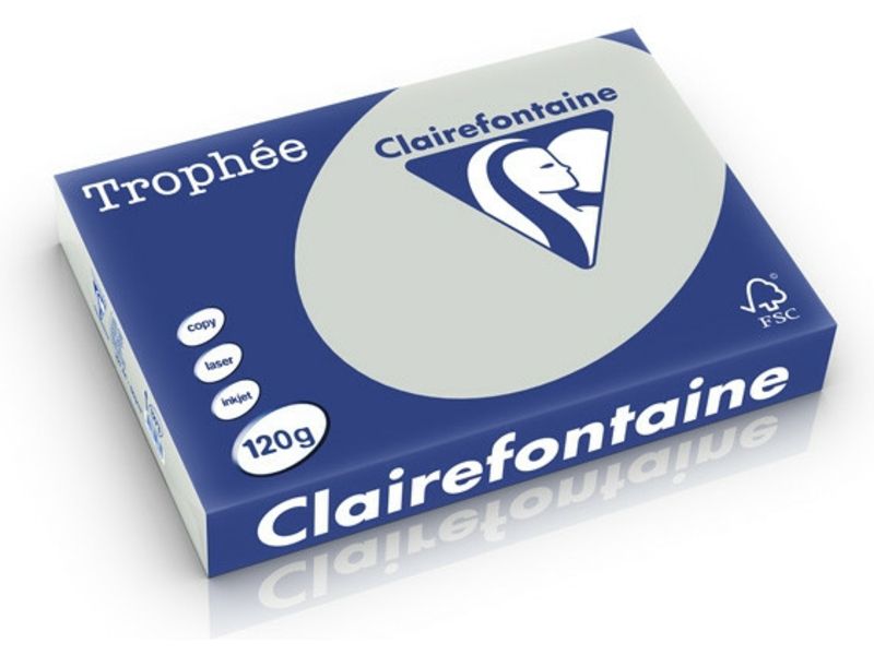 Clairefontaine Gris clair A4 Papier couleur 120 g/m² (250 feuilles)