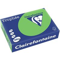 Clairefontaine Vert d'herbe A4 Papier couleur 210 g/m² (250 feuilles)