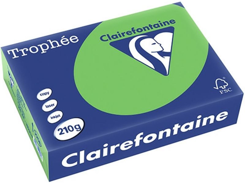 Clairefontaine Green A4 Papier couleur 160 g/m² (250 feuilles)