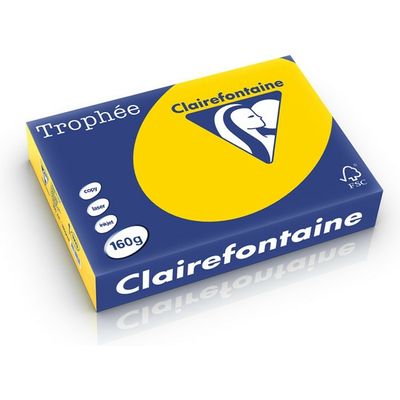 Clairefontaine Bouton d'or A4 Papier couleur 160 g/m² (250 feuilles)