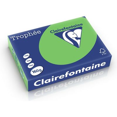 Clairefontaine Vert herbe A4 Papier couleur 160 g/m2 (250 feuilles)