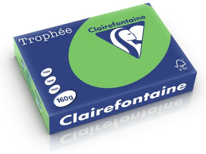 Clairefontaine Vert herbe A4 Papier couleur 160 g/m2 (250 feuilles)