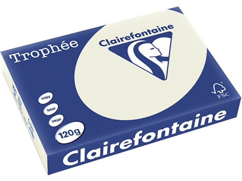Clairefontaine Gris perle A4 Papier couleur 120 g/m² (250 feuilles)