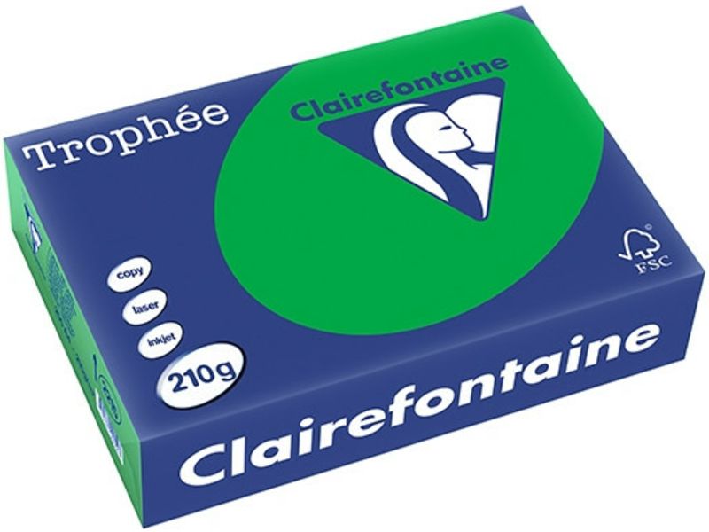 Clairefontaine Vert Billard Papier couleur A4 210 g/m² (250 feuilles)