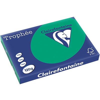 Clairefontaine Vert Pin A3 Papier couleur 120 g/m² (250 feuilles)