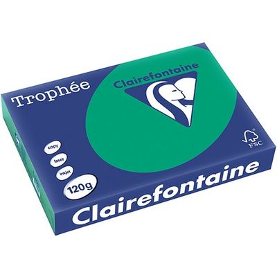 Clairefontaine Vert Pin Papier couleur A4 120 g/m² (250 feuilles)
