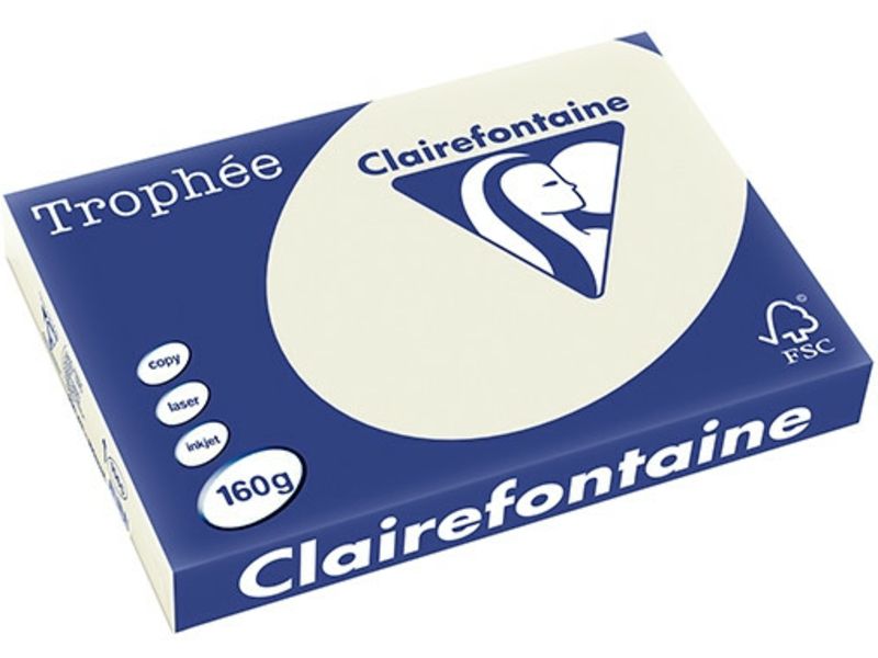 Clairefontaine Gris perle A3 Papier couleur 160 g/m² (250 feuilles)