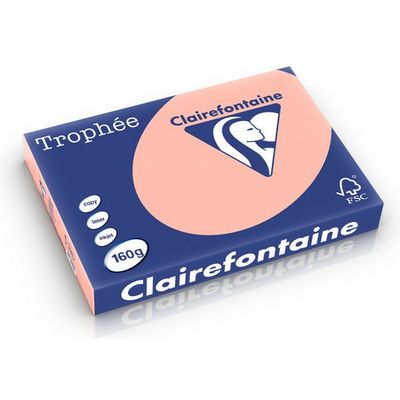 Clairefontaine Saumon A3 Papier couleur 160 g/m² (250 feuilles)