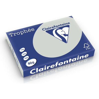 Clairefontaine Gris clair A4 Papier couleur 80 g/m² (500 feuilles)