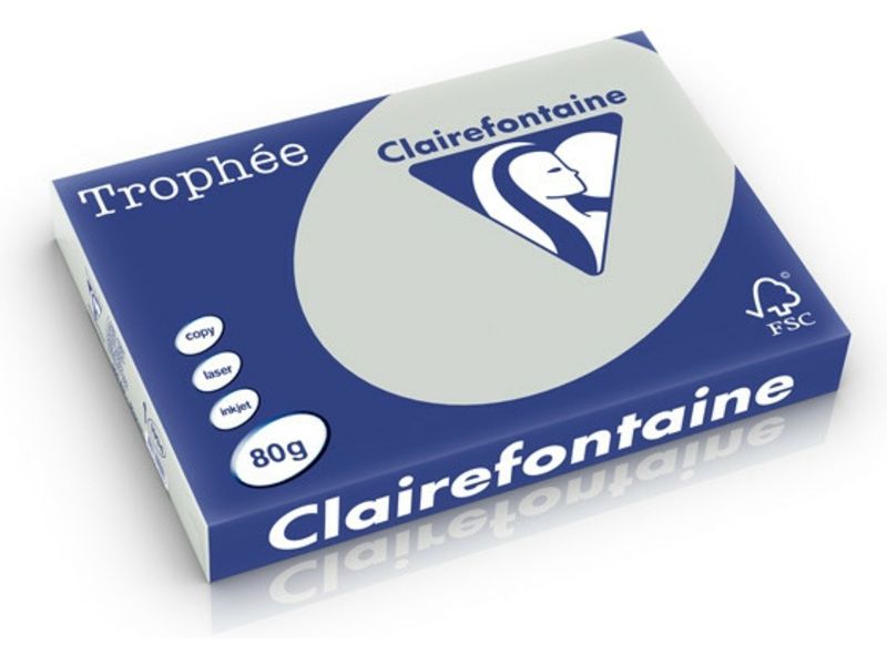 Clairefontaine Gris clair A4 Papier couleur 80 g/m² (500 feuilles)