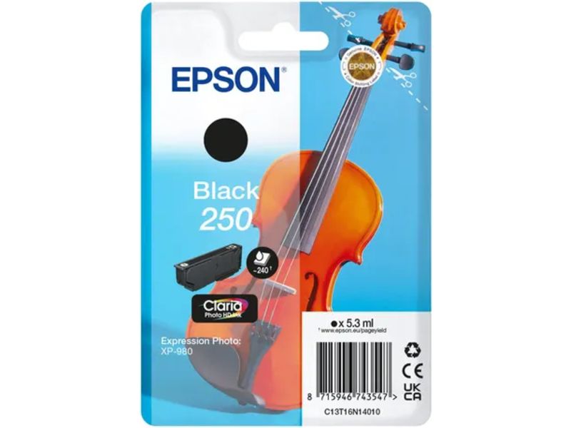 Epson 250 (C13T16N14010) Inktcartridge Zwart