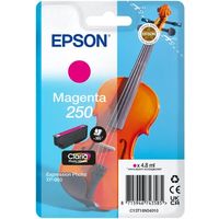 Epson 250 (C13T16N34010) - Magenta - Cartouche d'encre